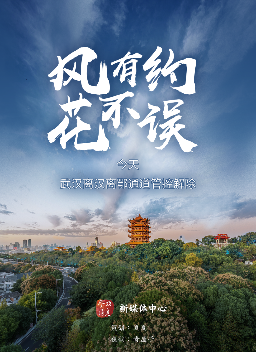 IMG_2500.PNG